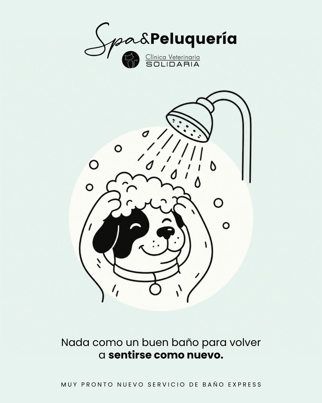 Momento en la Clínica Veterinaria Solidaria