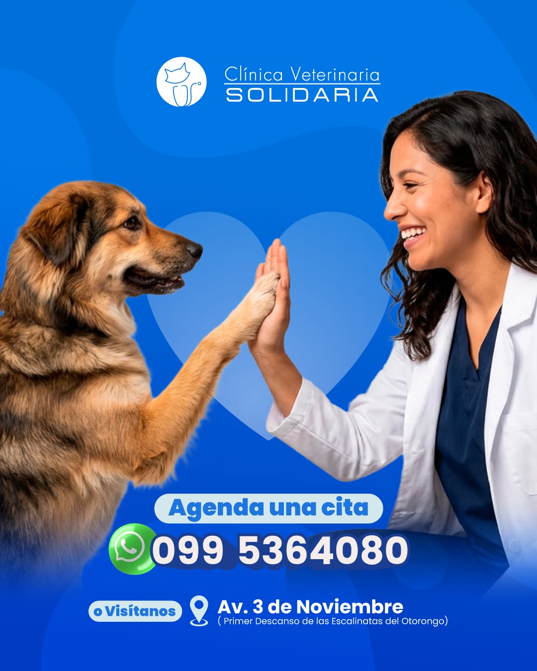 Gatito rescatado en busca de un hogar responsable